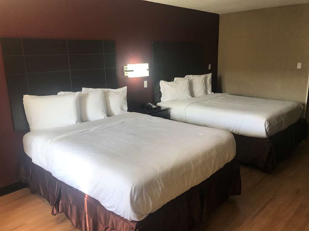 Oyo Hotel Tyler Northwest Mineola Hwy Rum bild